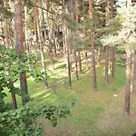 La Marmotta
